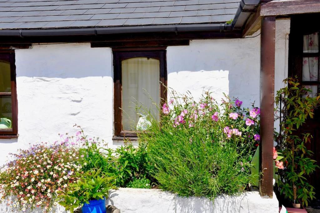 Stunning Annexe 1 Luxury Bedroom, Eating Area & Bathroom Only! Truro Esterno foto