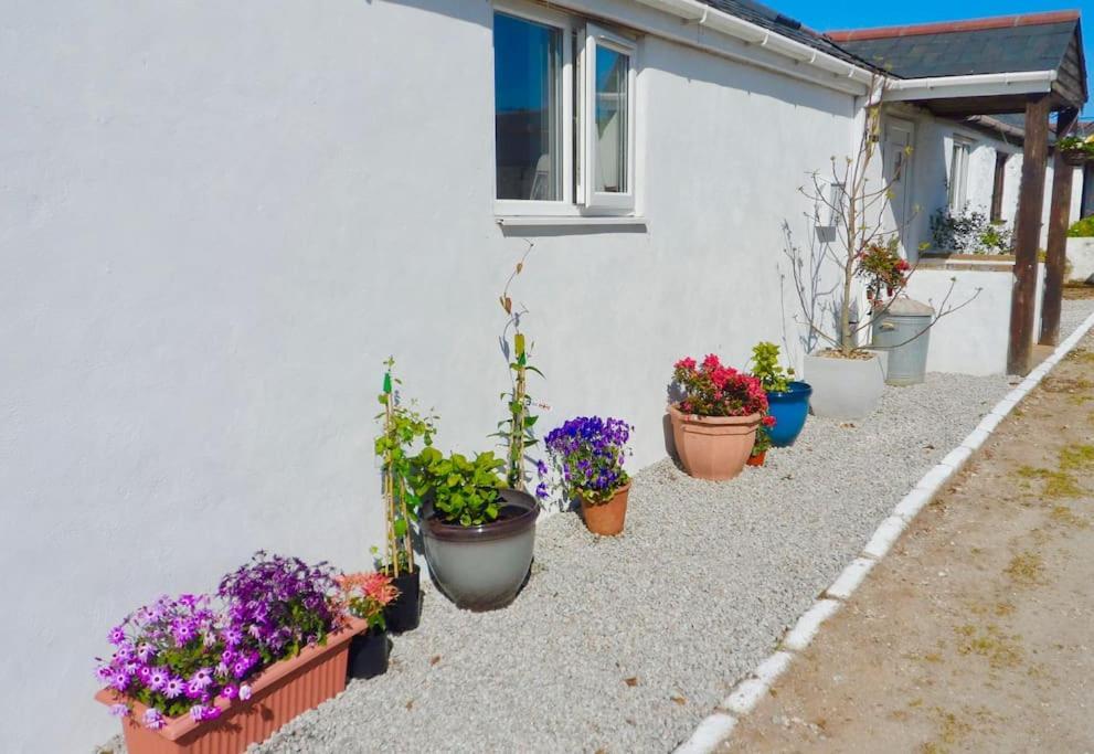 Stunning Annexe 1 Luxury Bedroom, Eating Area & Bathroom Only! Truro Esterno foto
